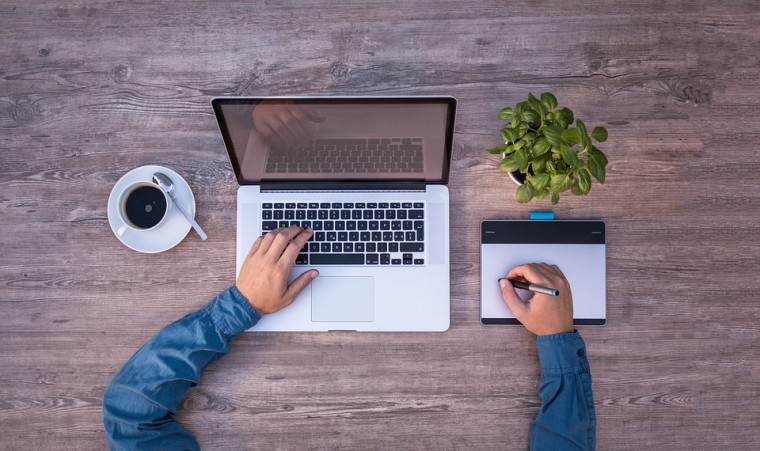 8800 palabra clave  Último Gratis